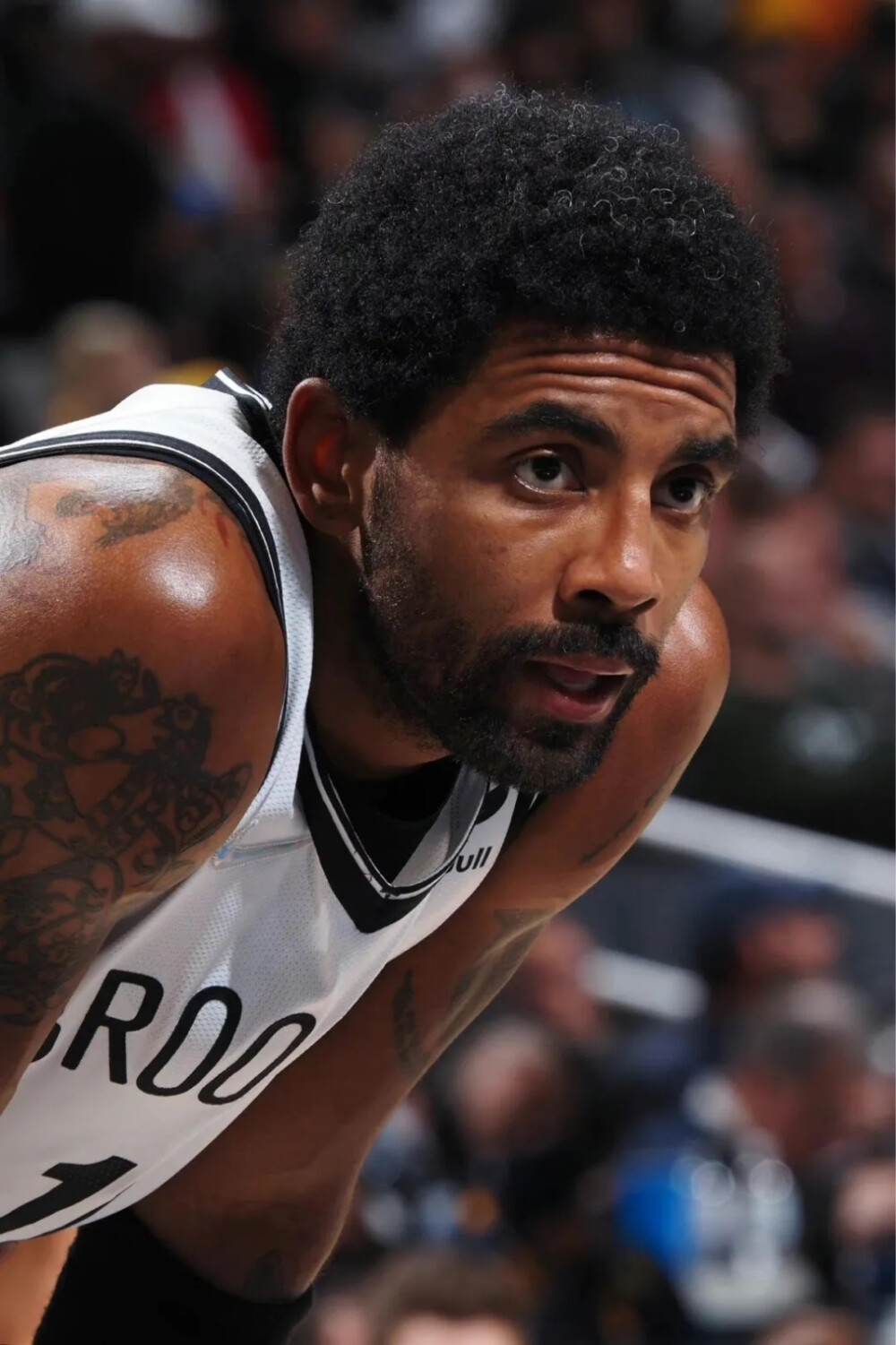 注册窗口的 注册窗口的