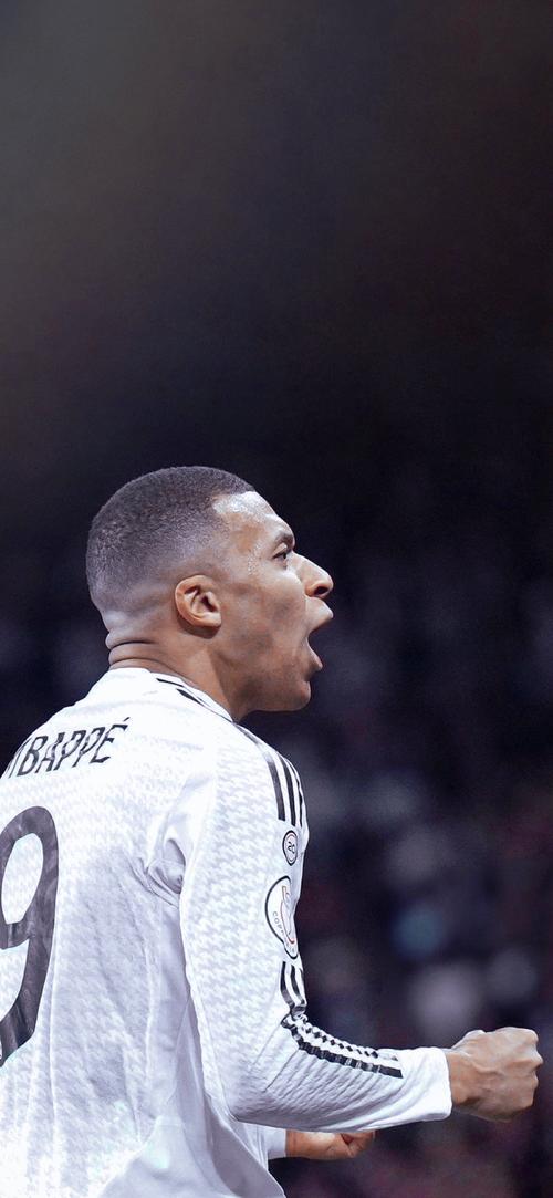 为稳健执行 为稳健执行